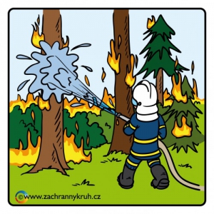 Požár lesa.jpg
